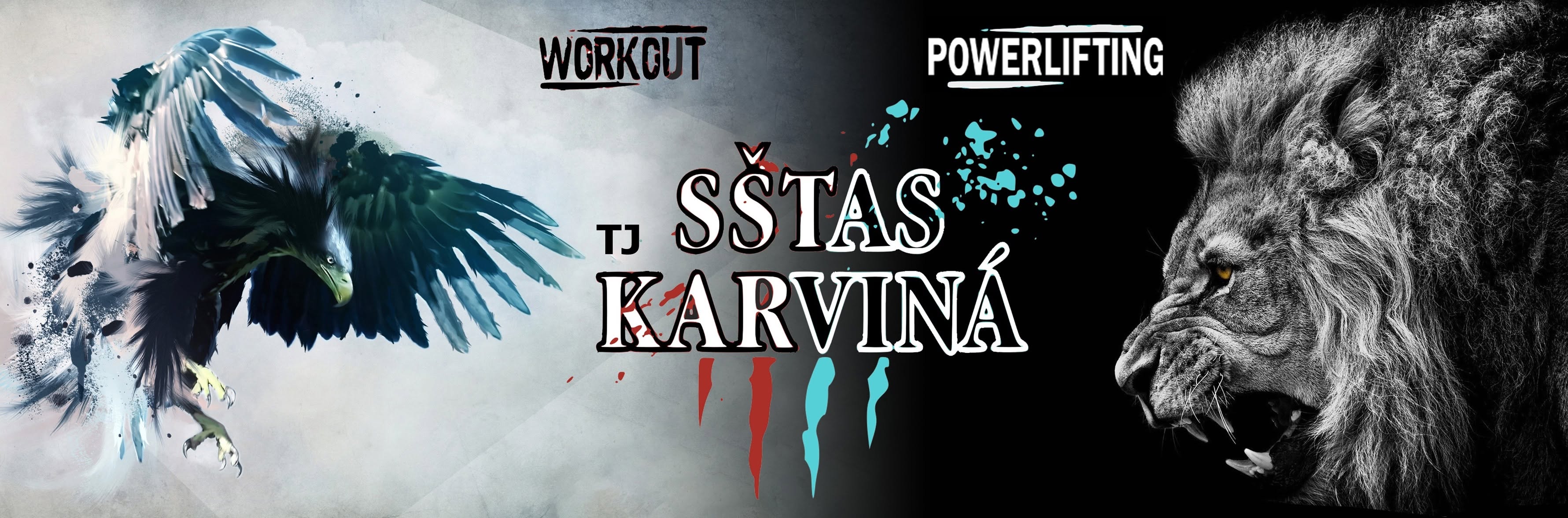 Mistrovství ČR ve streetlift a weighted workoutu 